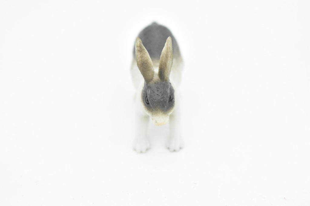 Rabbit, Bunny Rabbits, Domestic, Realistic Rubber Reproduction, Hand Painted Figurines,       2"       CH136 B243