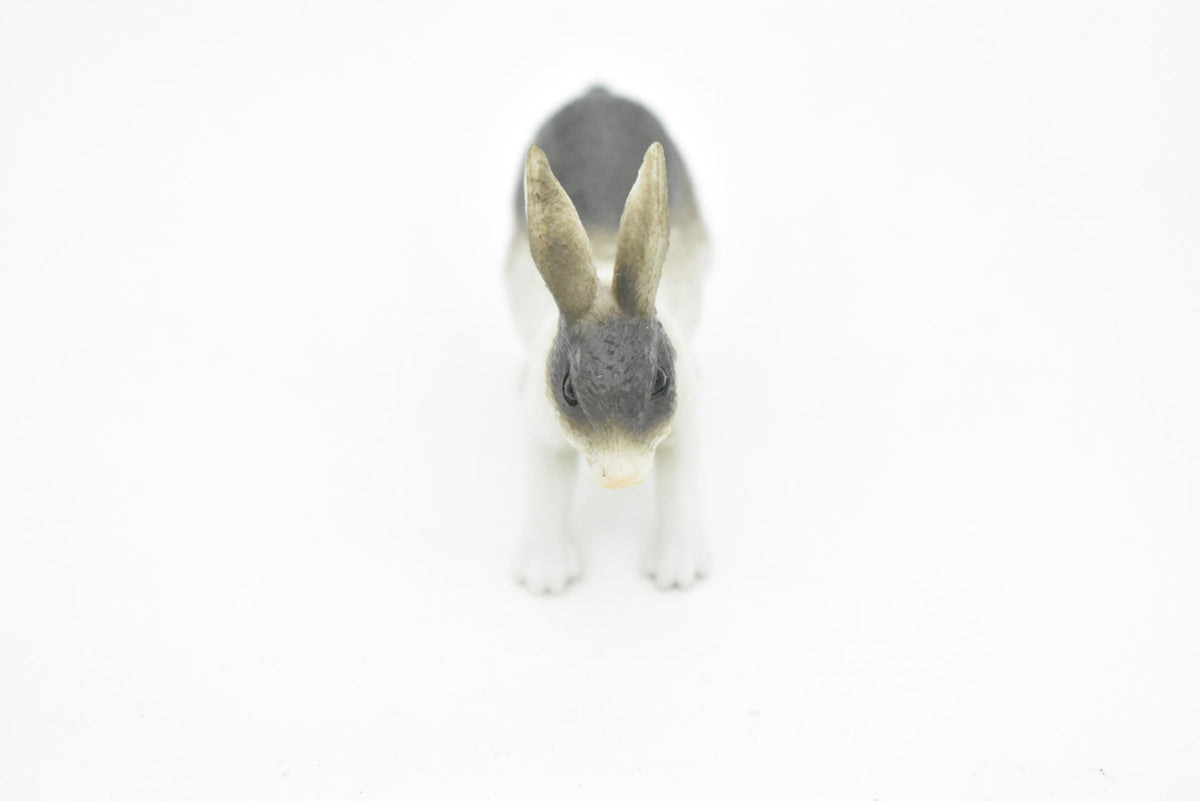 Rabbit, Bunny Rabbits, Domestic, Realistic Rubber Reproduction, Hand Painted Figurines,       2"       CH136 B243