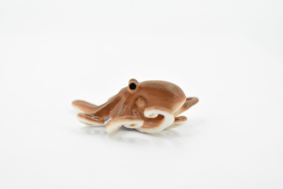Octopus, Octopodes, Octopoda, Octopi, Museum Quality, Hand Painted, Realistic Toy Figure, Diorama Model, Replica, Kids, Educational, 2 Inches. 