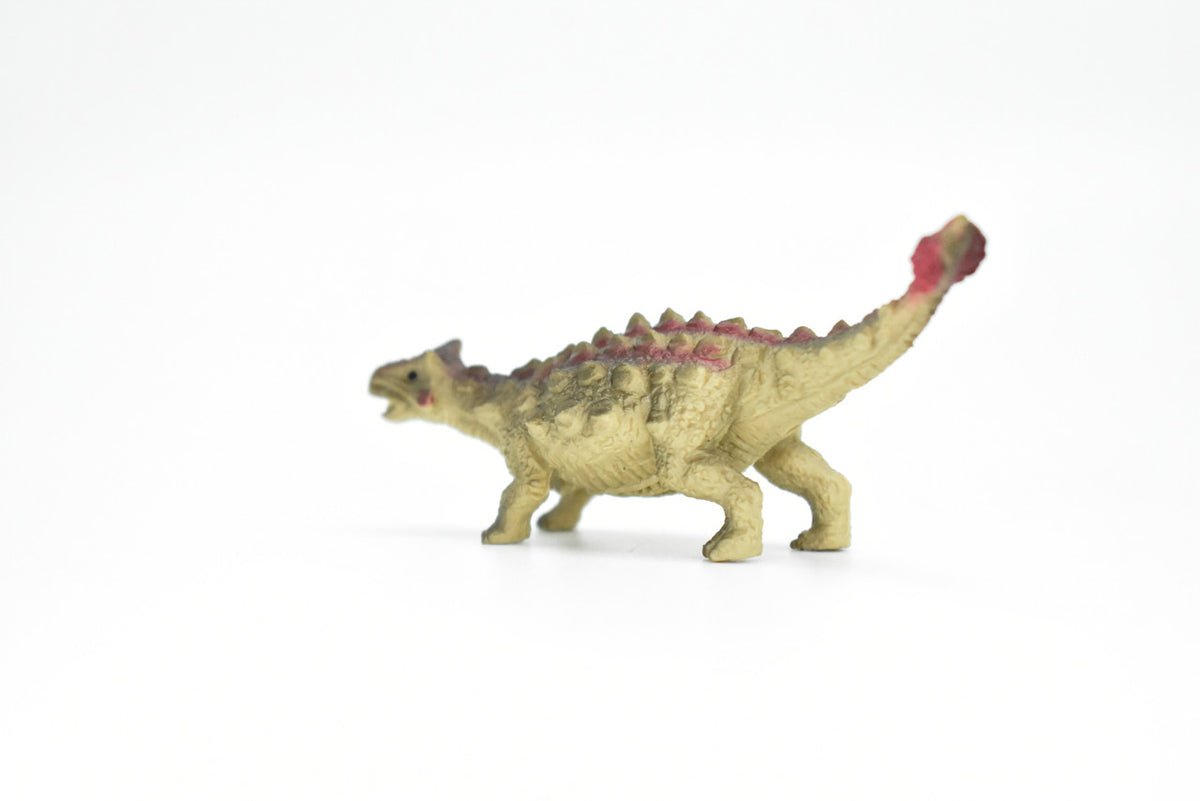 Ankylosaurus Dinosaur, Museum Quality, Animal, Educational, Realistic Hand Painted, Figure, Lifelike Model, Vintage Replica, Toy, Gift,    3 Inches.  F8105 B117