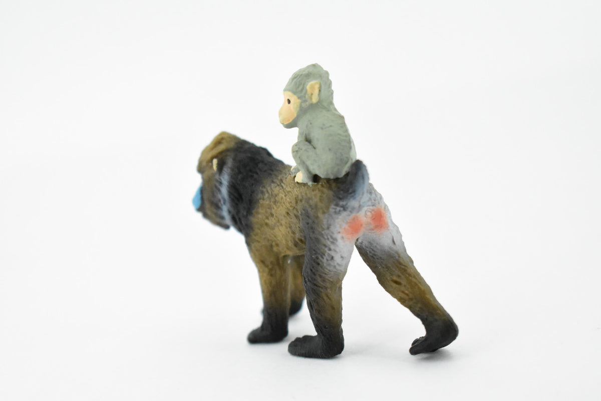 Mandrill With Baby, Baboons, Museum Quality, Hand Painted, Rubber Animal, Realistic Toy Figure, Diorama Model, Kids, Educational, Gift,    2 1/2 Inches.    CH425 BB109
