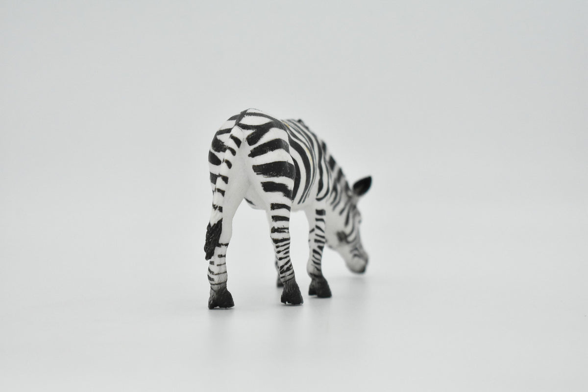 Zebra, Painted Horse, Getting a Drink, Museum Quality, Hand Painted, Educational, Rubber Animal, Realistic Toy Figure, Diorama Model, Kids, Gift,    5 Inches.    CH103 BB88