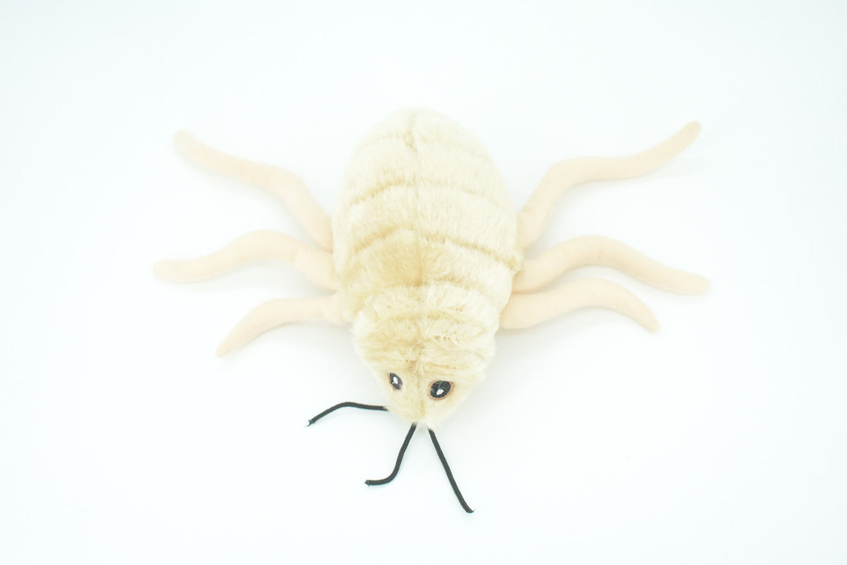 Flea, Parasitic Insect, Jumping pests, Bloodsuckers, Plush Design, Educational, Figure, Replica, Gift,    8"    F1562 B92