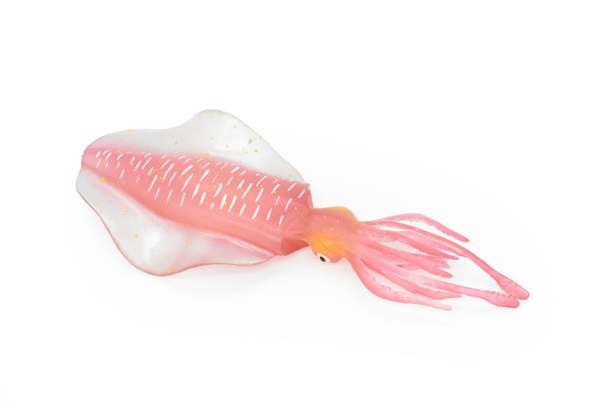 Squid Toy, Big Fin Reef Squid, Very Realistic Rubber Figure, Model, Ocean, Sea, Educational, Animal, Hand Painted Figurines,  7"    CH073 BB81