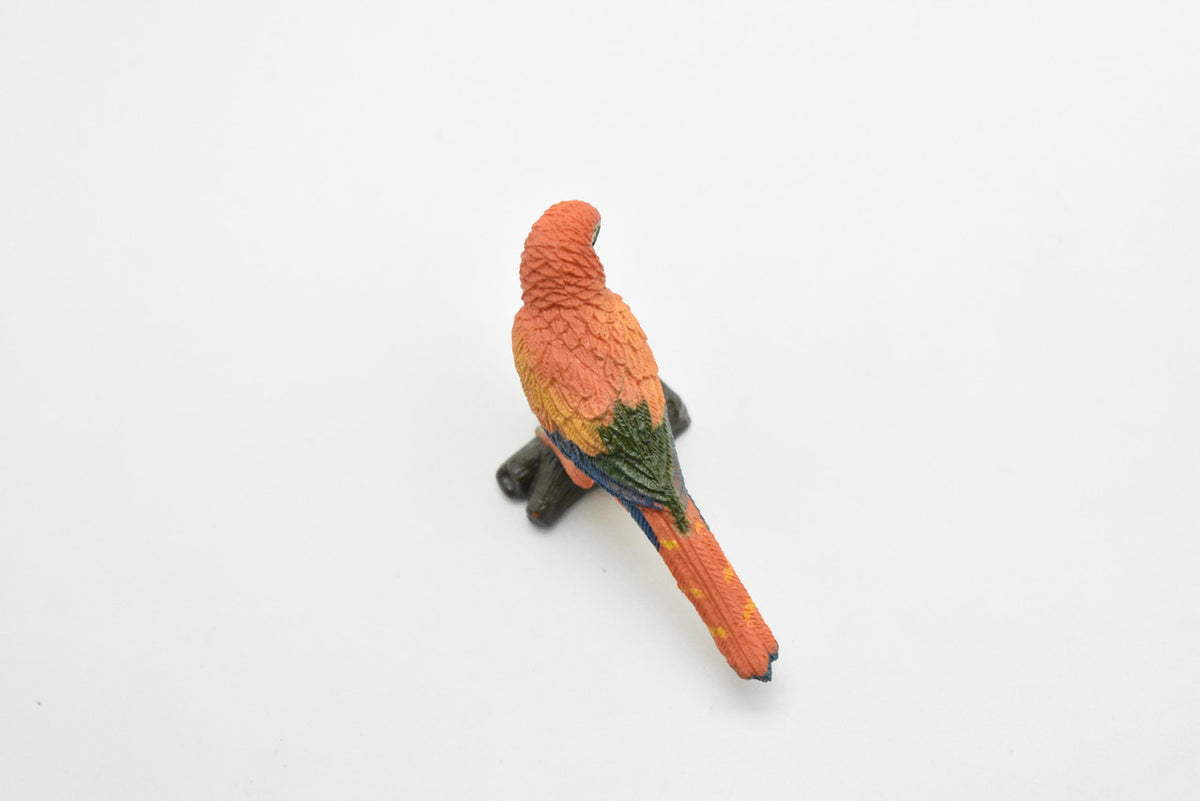 Scarlet MaCaw, Red Parrot, Ara macao, Museum Quality, Realistic, Rubber Bird Design, Educational, Hand Painted, Figure, Lifelike, Model, Figurine, Replica, Gift,     3 Inches     CWG202 BB45