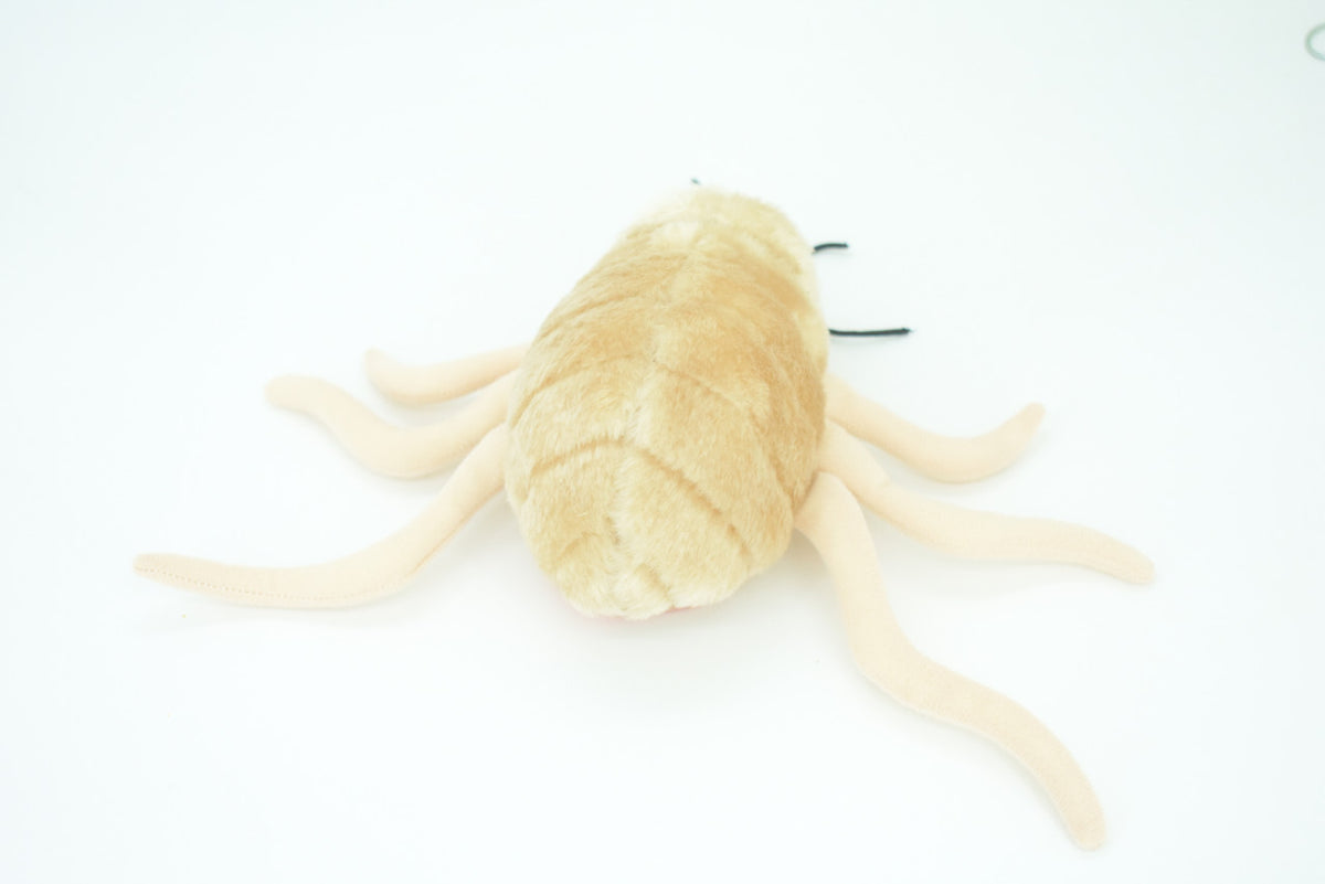 Flea, Parasitic Insect, Jumping pests, Bloodsuckers, Plush Design, Educational, Figure, Replica, Gift,    8"    F1562 B92