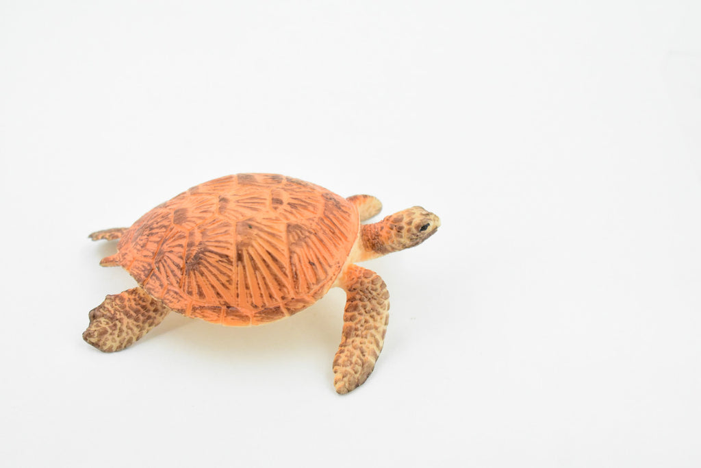 Turtle, Orange Sea Turtle, Young, Museum Quality, Hand Painted, Rubber  Reptile, Realistic Toy Figure, Model, Replica, Kids, Educational, Gift,    3 1/2"    CH248 BB123