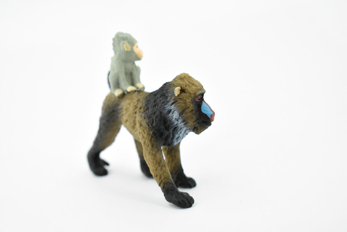 Mandrill With Baby, Baboons, Museum Quality, Hand Painted, Rubber Animal, Realistic Toy Figure, Diorama Model, Kids, Educational, Gift,    2 1/2 Inches.    CH425 BB109