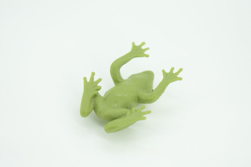 Green Tree Frog, Dumpy Tree Frog, Litoria caerulea, Hand Painted, Educational, Rubber Amphibian, Realistic Figure, Lifelike, Gift,    2 "   SF69B63