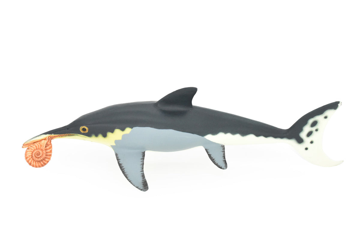 Icthyosaur, Biting Ammonite, Prehistoric Fish, Museum Quality, Rubber Fish, Hand Painted, Realistic Toy Figure, Diorama Model, Kids, Educational, 8 Inches. 