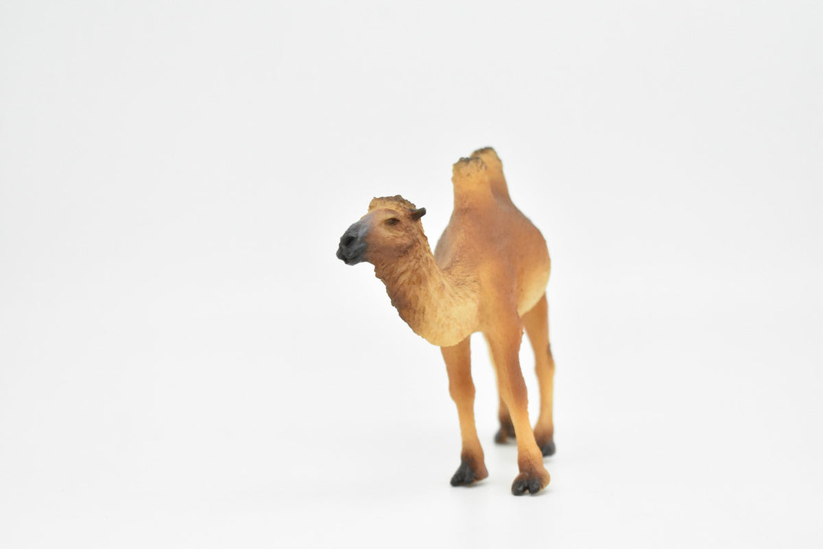 Camel, Bactrian, Mongolian camel, Very Nice Plastic Design, Animal Figure, Educational, Figure, Lifelike, Diorama Model, Figurine, Replica, Toy, Gift,   4 Inches.      CWG172 BB40