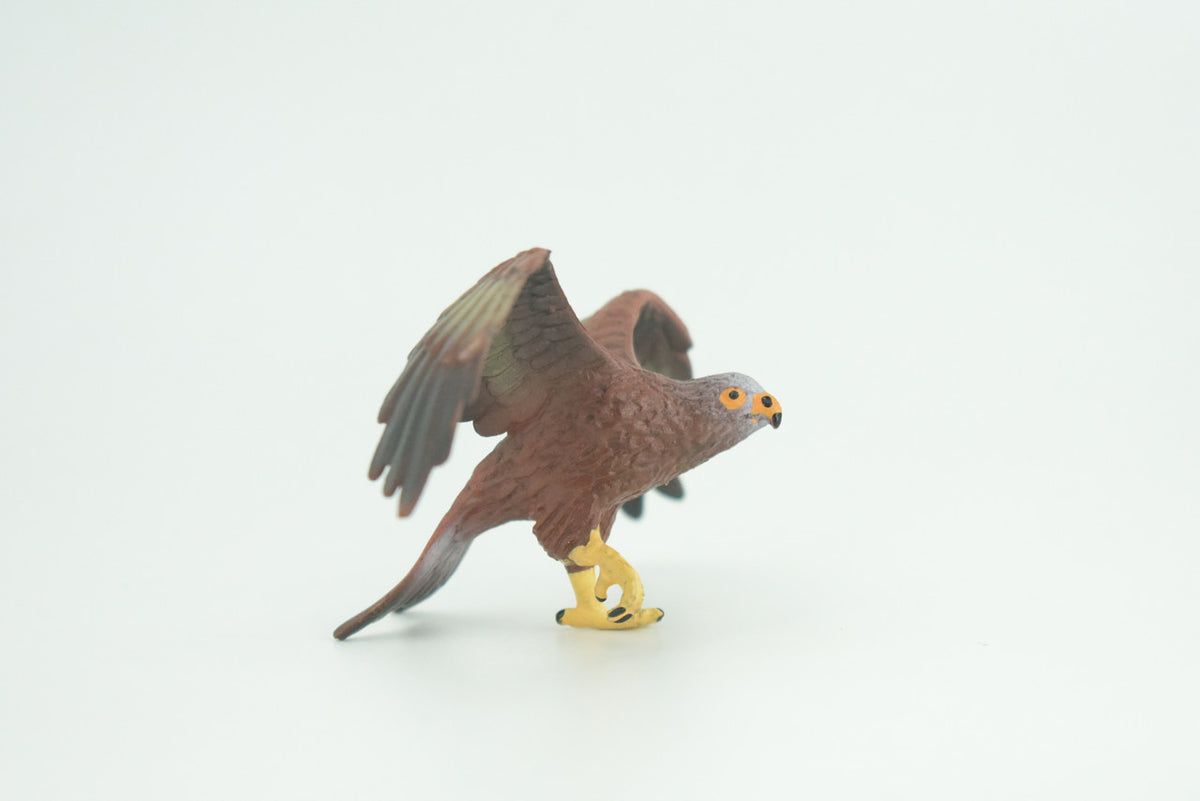 Golden Eagle, Hand Painted, Museum Quality, Educational, Raptor, Realistic Bird of Prey, Rubber, Diorama, Toys, Kids, Gift,     5 Inches.    CH871 BB199