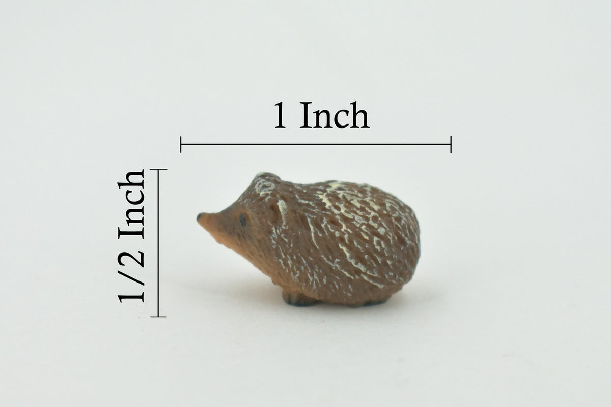 Hedgehog, Spiny Hedge Hog, High Quality, Hand Painted, Rubber, Animal, Realistic, Figure, Model, Replica, Toy, Kids, Educational, Gift,    1"      CH646 BB169