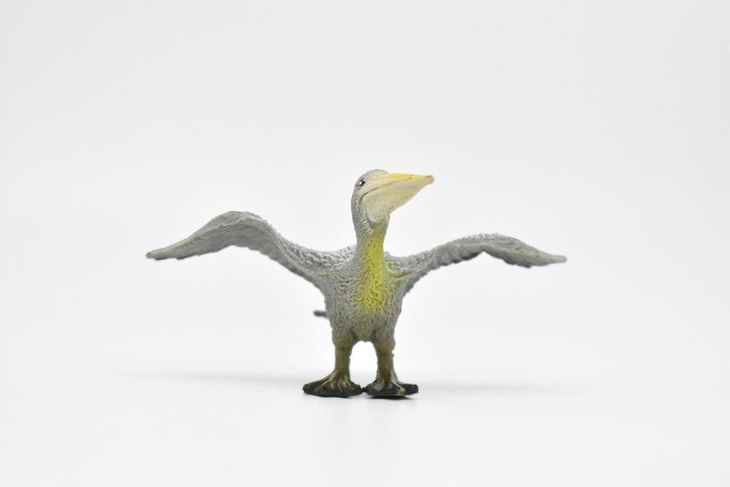 Pelican, Brown Pelican, Museum Quality, Realistic, Pelecanus occidentalis, Rubber Bird Design, Educational, Hand Painted, Figure, Lifelike, Model, Replica, Gift,  3 1/2 Inches   CWG203 BB45