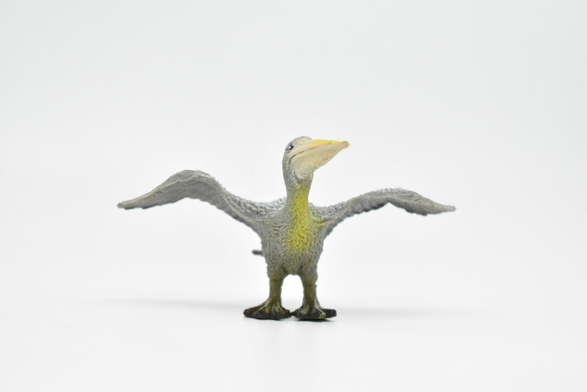Pelican, Brown Pelican, Museum Quality, Realistic, Pelecanus occidentalis, Rubber Bird Design, Educational, Hand Painted, Figure, Lifelike, Model, Replica, Gift,  3 1/2 Inches   CWG203 BB45
