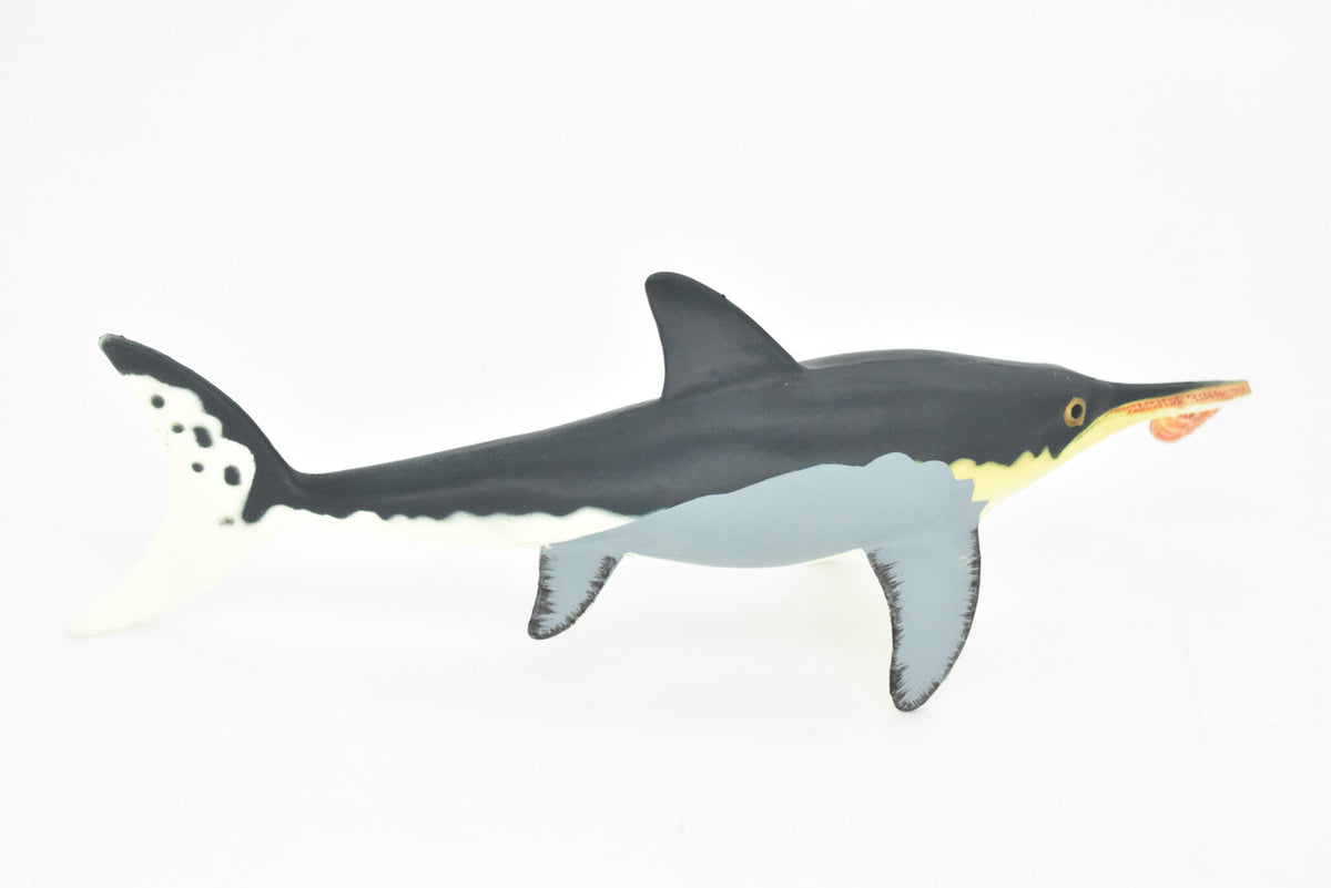 Icthyosaur, Biting Ammonite, Prehistoric Fish, Museum Quality, Rubber Fish, Hand Painted, Realistic Toy Figure, Diorama Model, Kids, Educational, 8 Inches. 