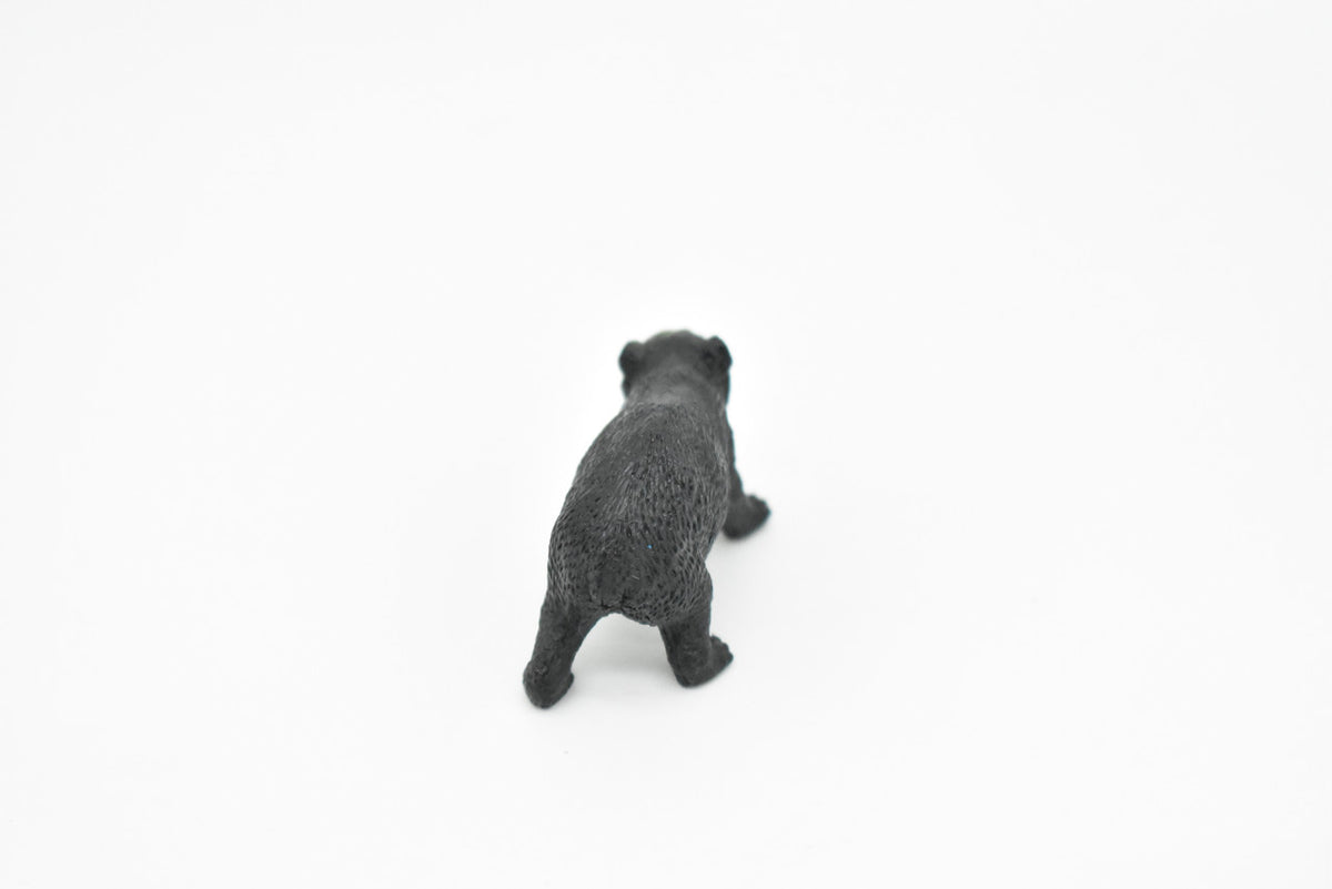 Wombat, Marsupials, Australia's unique Animal, Very Nice Plastic Toy, Figure, Educational, Lifelike, Diorama Model, Replica, Toy, Kids, Gift,   2 Inches     CWG106 B237