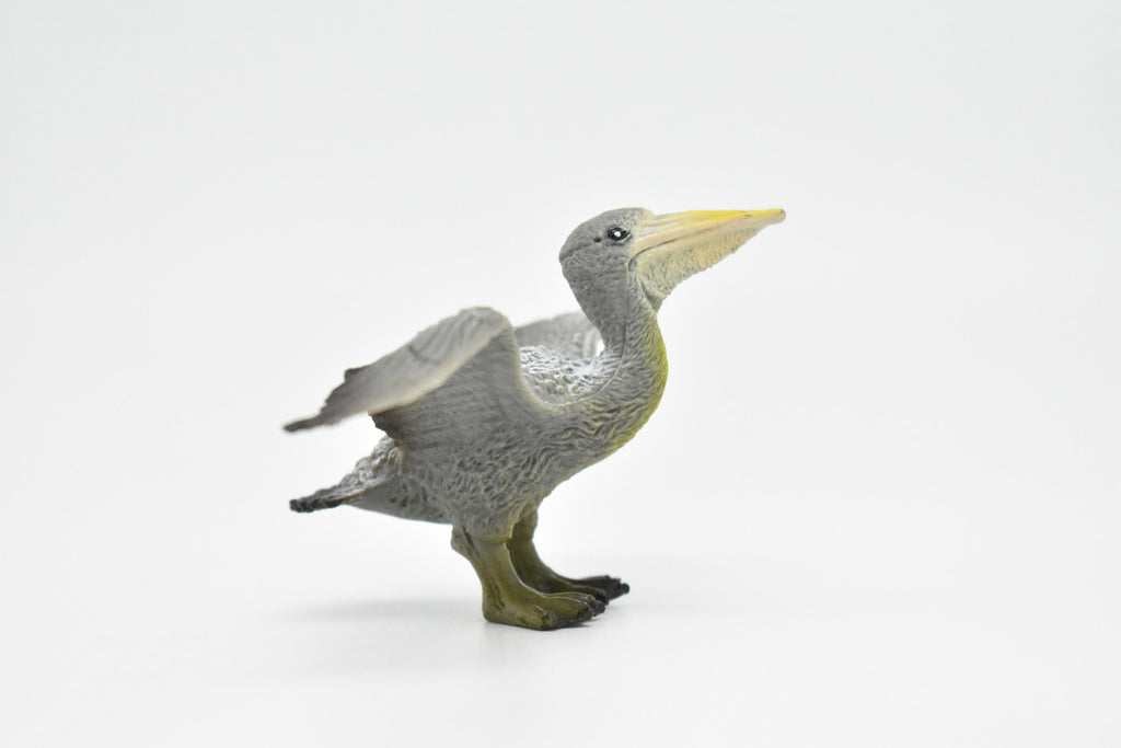 Pelican, Brown Pelican, Museum Quality, Realistic, Pelecanus occidentalis, Rubber Bird Design, Educational, Hand Painted, Figure, Lifelike, Model, 3 1/2 Inches  