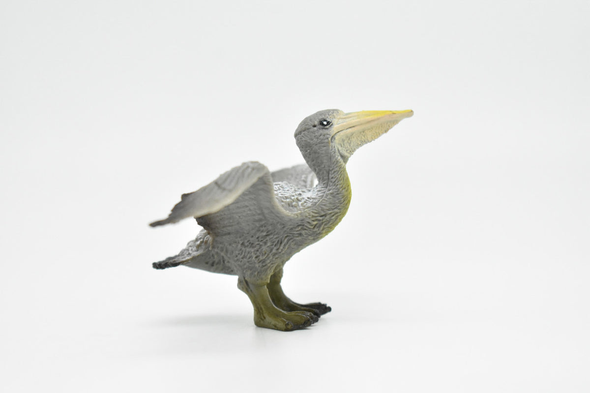 Pelican, Brown Pelican, Museum Quality, Realistic, Pelecanus occidentalis, Rubber Bird Design, Educational, Hand Painted, Figure, Lifelike, Model, 3 1/2 Inches  