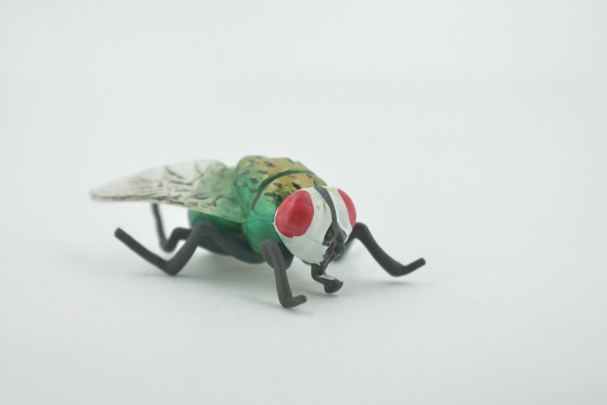 Fly, Housefly, House Flies, Insect, Hand Painted, High Quality Rubber, Realistic, Toy, Figure, Kids, Model, Replica, Educational, Gift,    2 1/2"    CH493 BB154