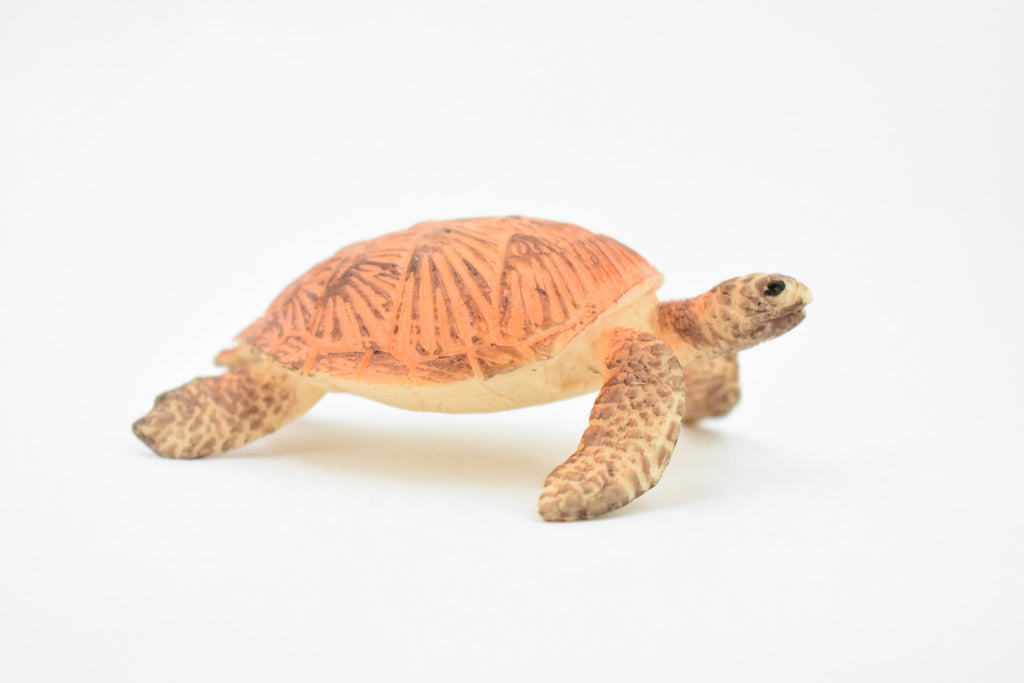 Turtle, Orange Sea Turtle, Young, Museum Quality, Hand Painted, Rubber  Reptile, Realistic Toy Figure, Model, Replica, Kids, Educational, Gift,    3 1/2"    CH248 BB123