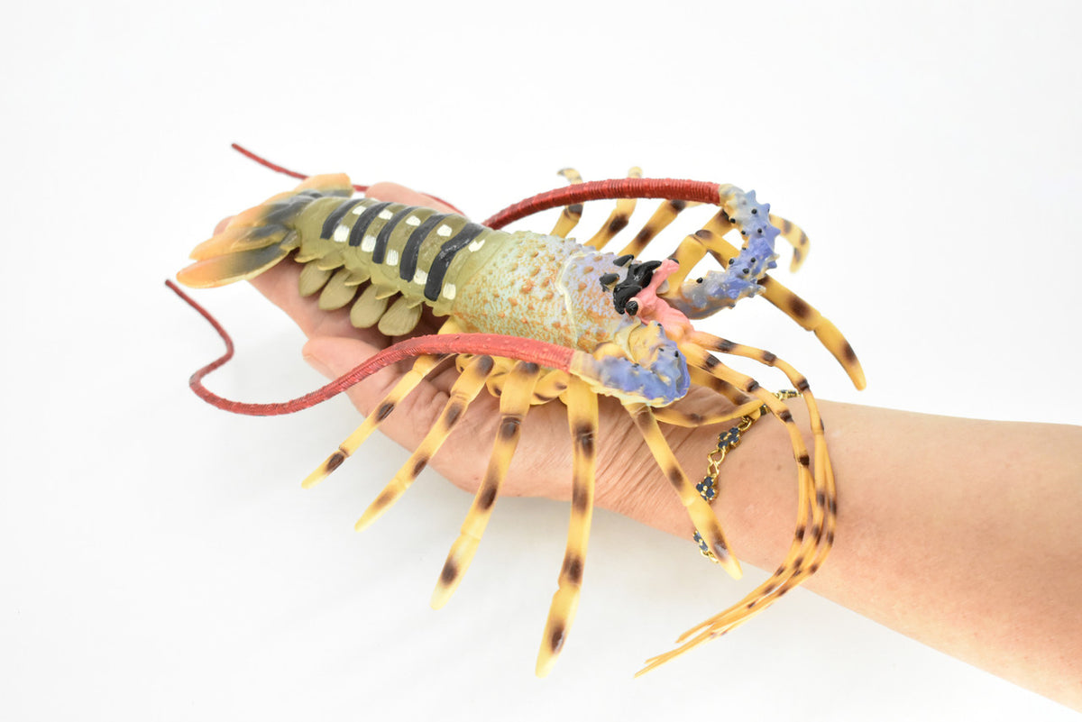 Lobster Toy, Pacific, Australian, Ocean , Beach, Museum Quality Rubber Figure, Model, Educational, Animal, Hand Painted, Figurines 12" CH105 BB89