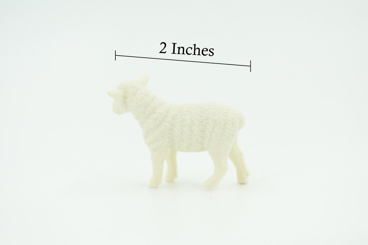 Sheep, Lamb, ewe, Very Nice Plastic Animal, Educational, Realistic Figure, Lifelike Model, Figurine, Replica, Gift,     2"    F4259 B375
