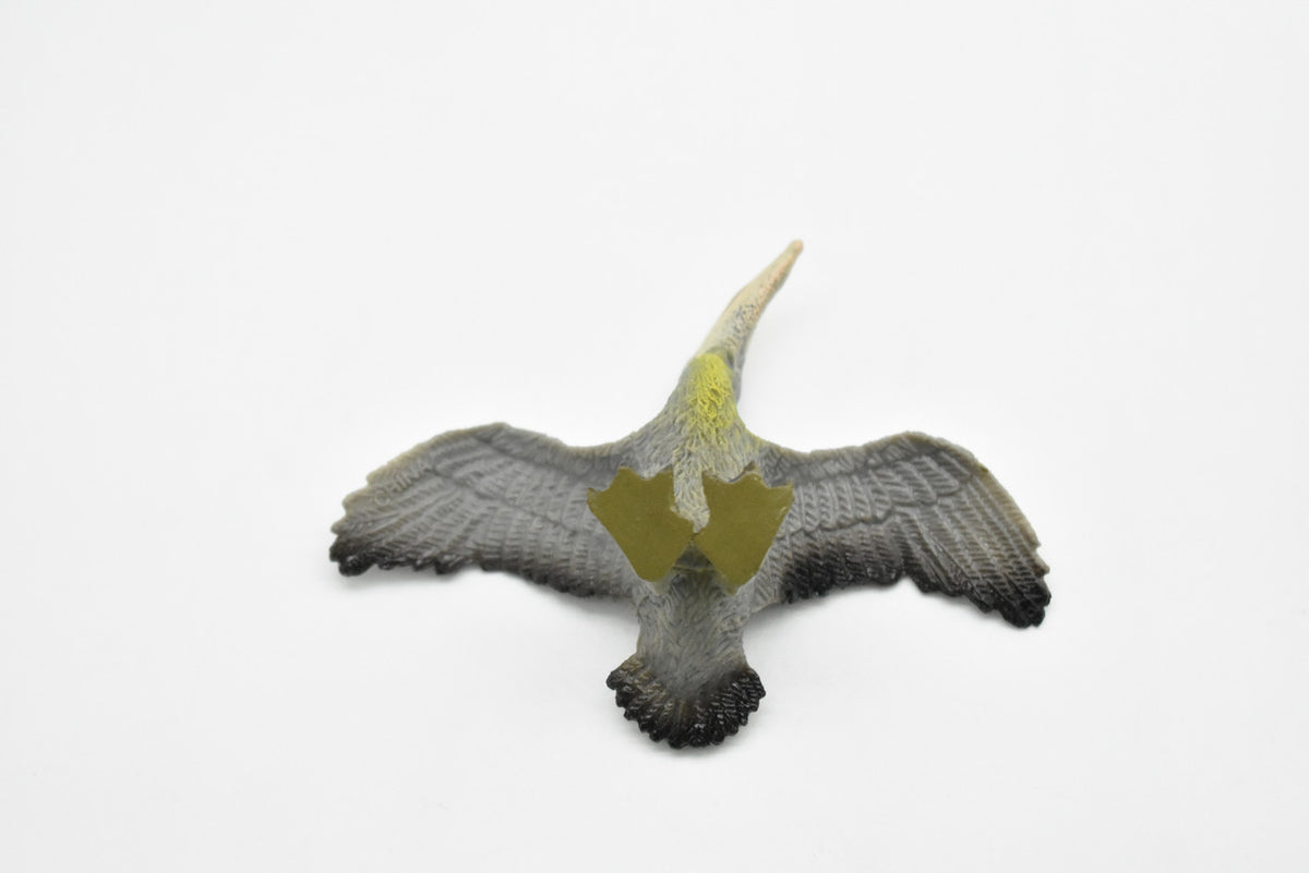 Pelican, Brown Pelican, Museum Quality, Realistic, Pelecanus occidentalis, Rubber Bird Design, Educational, Hand Painted, Figure, Lifelike, Model, Replica, Gift,  3 1/2 Inches   CWG203 BB45