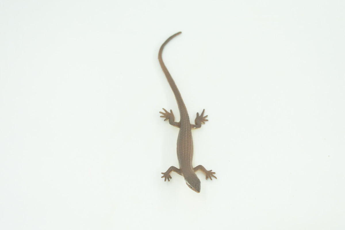 Common Grass Lizard, Educational, Hand Painted, Rubber Reptile, Museum Quality, Diorama, Toy, Kids, Gift,  4 Inches.  CH744 BB184