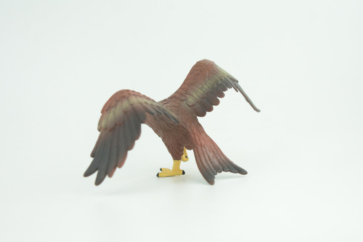 Golden Eagle, Hand Painted, Museum Quality, Educational, Raptor, Realistic Bird of Prey, Rubber, Diorama, Toys, Kids, Gift,     5 Inches.    CH871 BB199