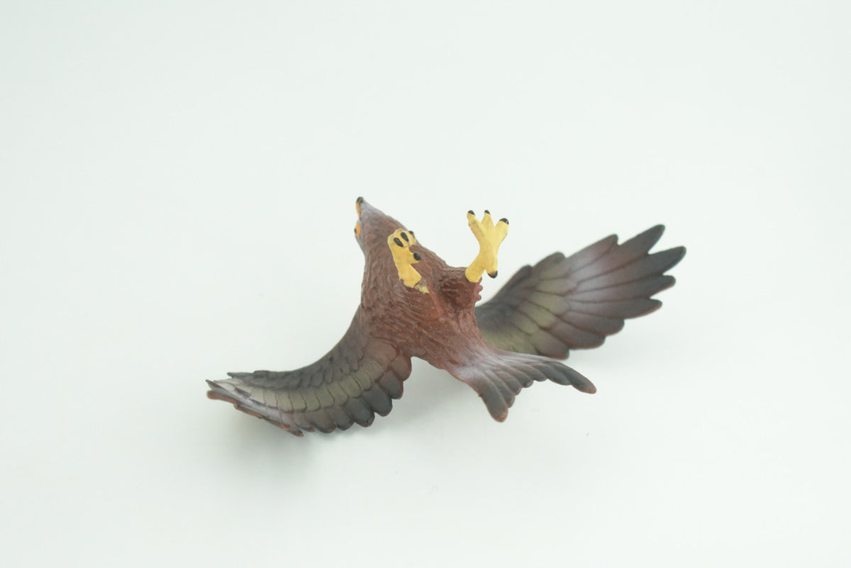 Golden Eagle, Hand Painted, Museum Quality, Educational, Raptor, Realistic Bird of Prey, Rubber, Diorama, Toys, Kids, Gift,     5 Inches.    CH871 BB199