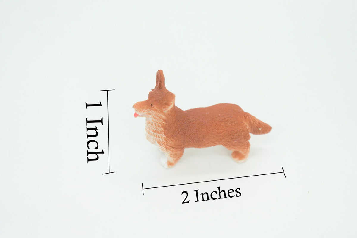 Welsh Corgi, Cardigan, Rubber Dog, Hand Painted, Realistic, Figure, Model, Replica, Toy, Kids, Educational, Gift,    2"     F1676 B63