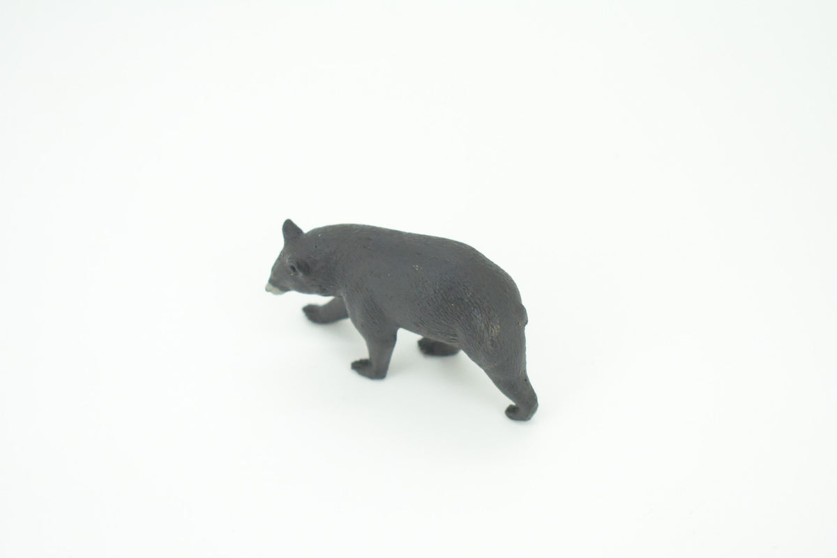 Black Bear, Ursus americanus, American Black Bear, Hand Painted, Educational, Rubber Animal, Realistic Figure, Lifelike, Gift,    2 1/2"    SF48 B15