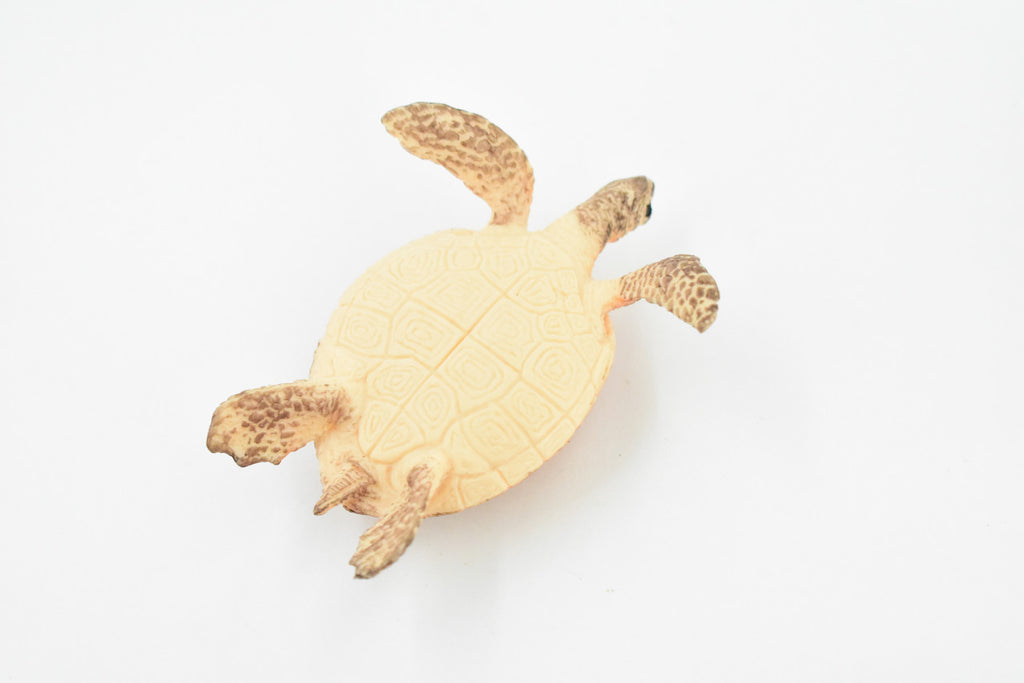 Turtle, Orange Sea Turtle, Young, Museum Quality, Hand Painted, Rubber  Reptile, Realistic Toy Figure, Model, Replica, Kids, Educational, Gift,    3 1/2"    CH248 BB123