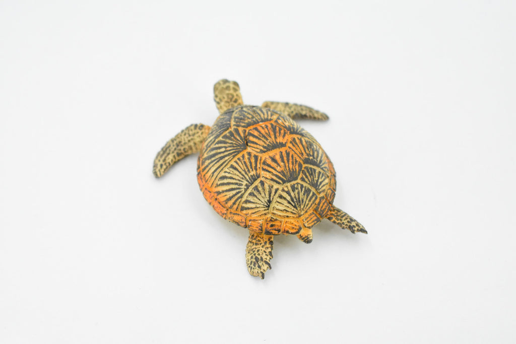 Turtle, Green Sea Turtle, Museum Quality, Hand Painted, Rubber Reptile, Realistic Toy Figure, Model, Replica, Kids, Educational, Gift,     3"     CH310 BB130
