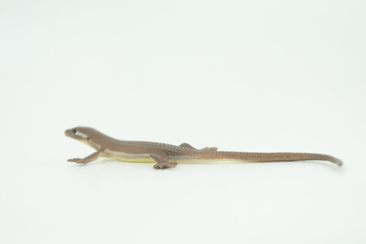 Common Grass Lizard, Educational, Hand Painted, Rubber Reptile, Museum Quality, Diorama, Toy, Kids, Gift,  4 Inches.  CH744 BB184