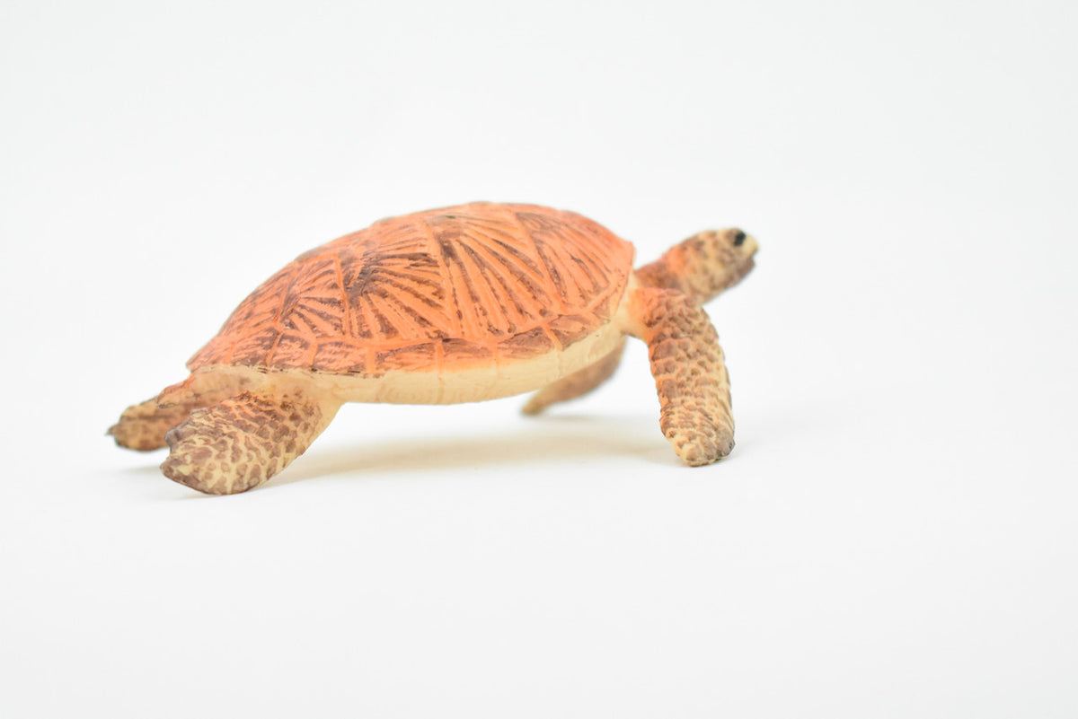 Turtle, Orange Sea Turtle, Young, Museum Quality, Hand Painted, Rubber  Reptile, Realistic Toy Figure, Model, Replica, Kids, Educational, Gift,    3 1/2"    CH248 BB123