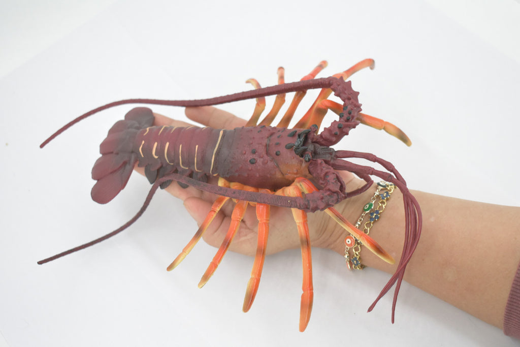 Lobster, Pacific, Australian, Crustaceans, Hand Painted, Museum Quality, Rubber, Realistic, Toy, Kids, Figure, Model, Educational, Gift,       12"     CH720 BB176
