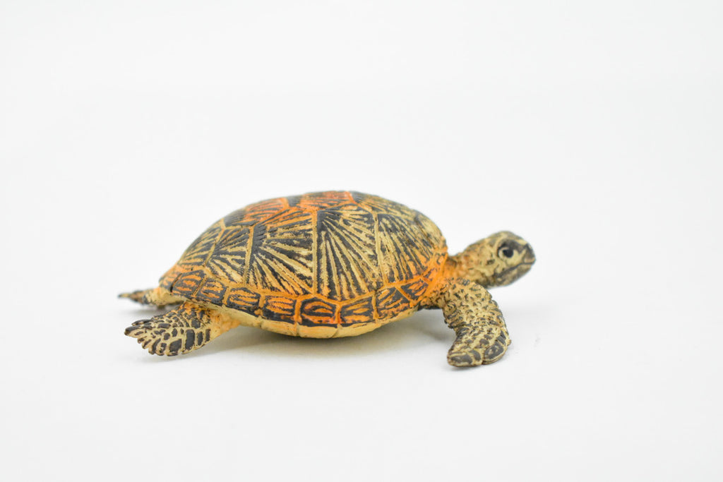 Turtle, Green Sea Turtle, Museum Quality, Hand Painted, Rubber Reptile, Realistic Toy Figure, Model, Replica, Kids, Educational, Gift,     3"     CH310 BB130
