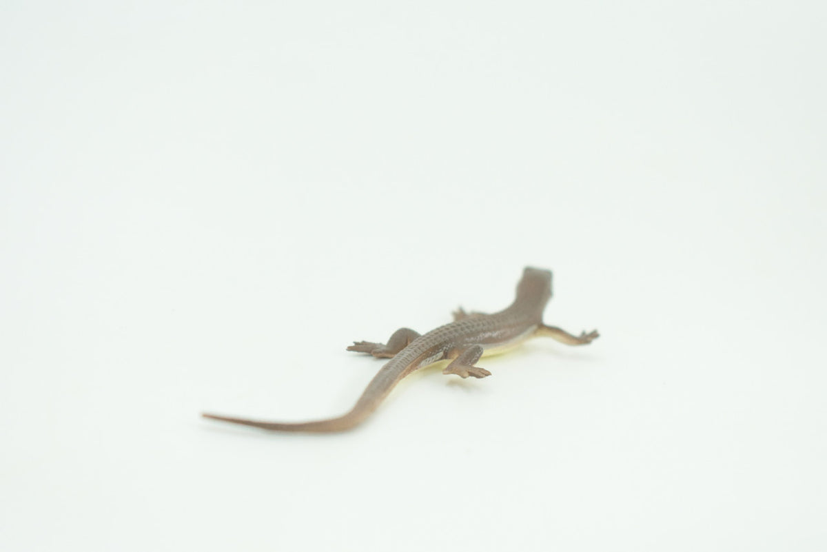 Common Grass Lizard, Educational, Hand Painted, Rubber Reptile, Museum Quality, Diorama, Toy, Kids, Gift,  4 Inches.  CH744 BB184