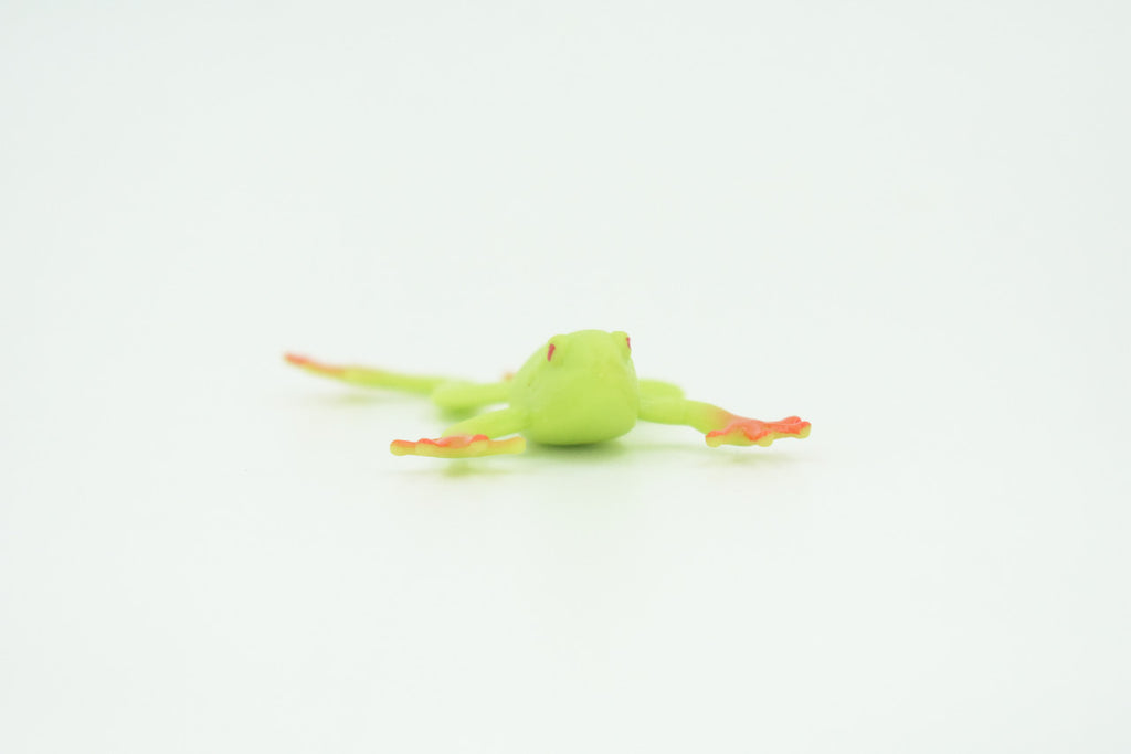 Tree Frog, 4 or 8 or 12 Piece Sets, Rubber Amphibian, Educational, Realistic Hand Painted, Figure, Lifelike Model, Figurine, Replica, Gift,   2 1/2"   US12 B58