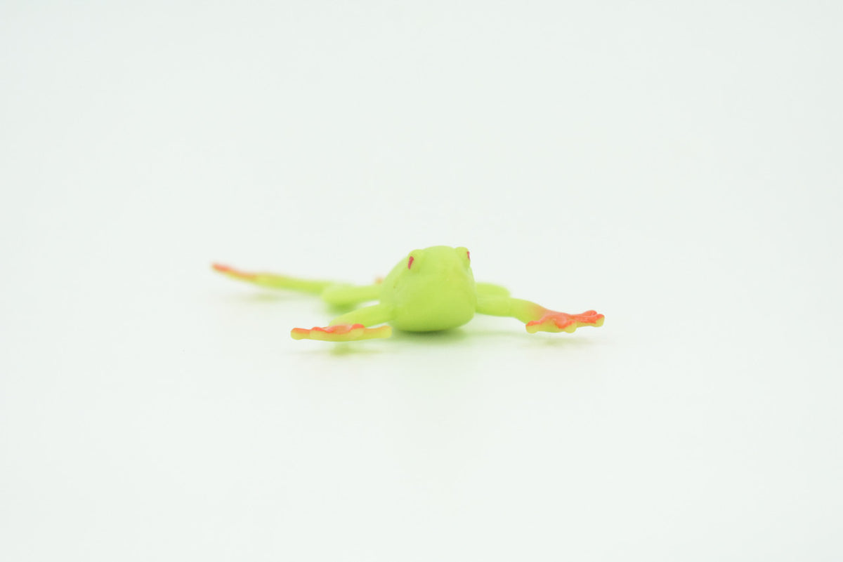 Tree Frog, 4 or 8 or 12 Piece Sets, Rubber Amphibian, Educational, Realistic Hand Painted, Figure, Lifelike Model, Figurine, Replica, Gift,   2 1/2"   US12 B58