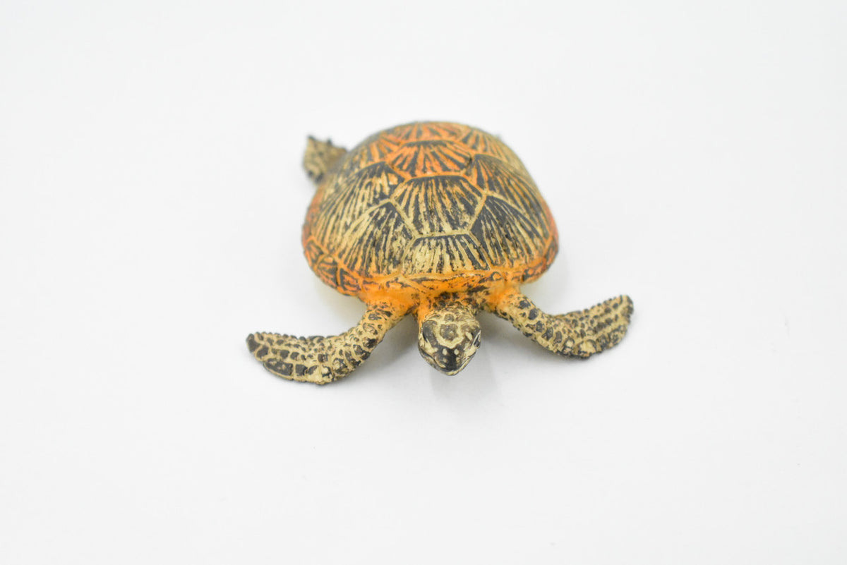 Turtle, Green Sea Turtle, Museum Quality, Hand Painted, Rubber Reptile, Realistic Toy Figure, Model, Replica, Kids, Educational, Gift,     3"     CH310 BB130