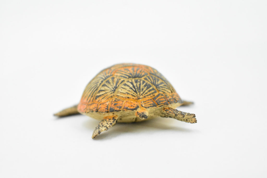 Turtle, Green Sea Turtle, Museum Quality, Hand Painted, Rubber Reptile, Realistic Toy Figure, Model, Replica, Kids, Educational, Gift,     3"     CH310 BB130