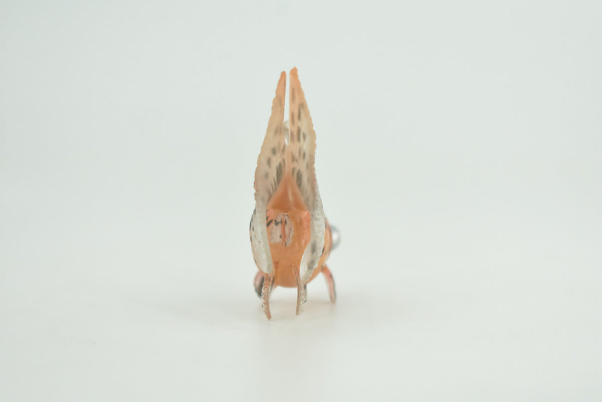 Goldfish, Spotted Fancy, Museum Quality, Hand Painted, Rubber, Fish, Realistic Figure, Diorama Model, Replica, Toy, Kids, Replica, Educational, Gift,  2 Inches   CH1013 BB218