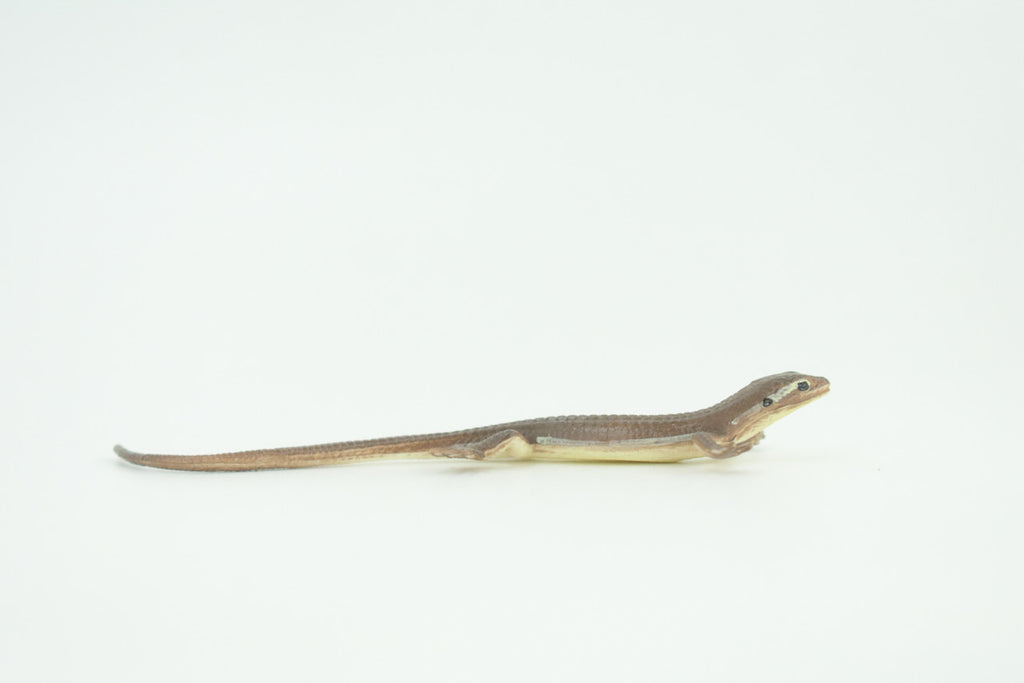 Common Grass Lizard, Educational, Hand Painted, Rubber Reptile, Museum Quality, Diorama, Toy, Kids, Gift,  4 Inches.  CH744 BB184