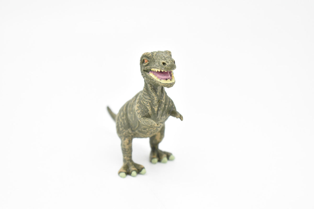 Tyrannosaurus rex, T. Rex, Dinosaur, Baby, Museum Quality, Animal, Educational, Realistic, Hand Painted, Vintage Replica, Toy, Gift,  3 1/2 Inches. F8002 B115