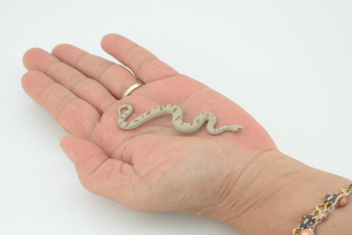 Snake, Horned Viper, Hand Painted, Educational, Rubber Snake, Realistic Figure, Lifelike Model, Figurine, Replica, Gift,    3"   SF21 B45