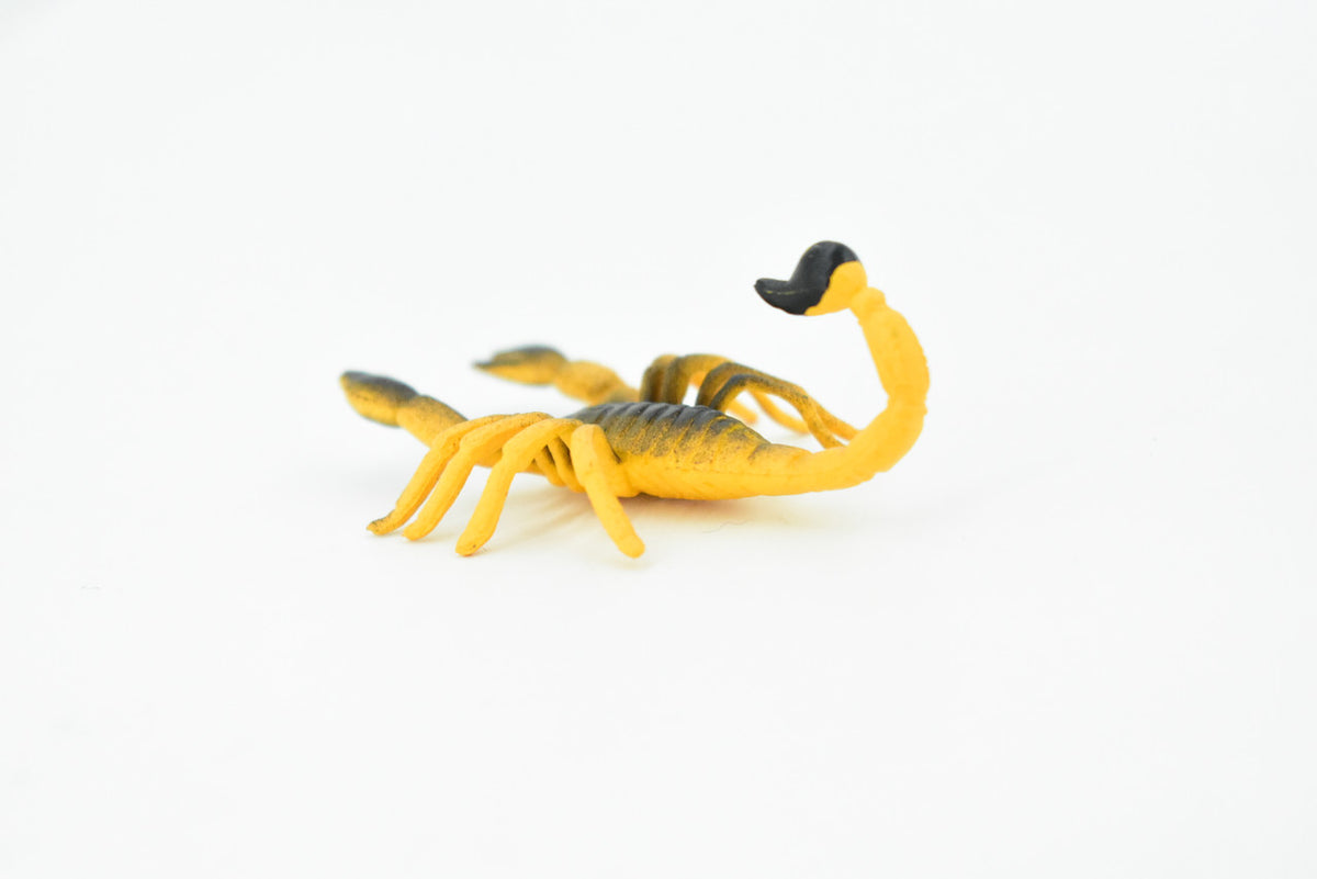 Scorpion, Arachnids, Orange & Brown, Rubber  Educational, Arachnid, Realistic Figure, Model, Replica, Kids, Toys, Gift,     2 1/2 Inches.     F1514 B103
