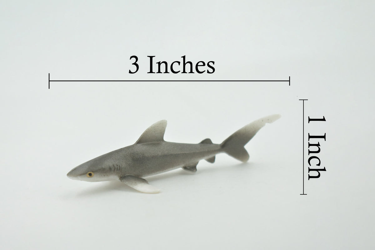 Shark, Oceanic Whitetip Shark, High Quality, Hand Painted, Rubber, Marine Fish, Realistic, Figure, Model, Toy, Kids, Educational, Gift,     3"      CH658 BB169